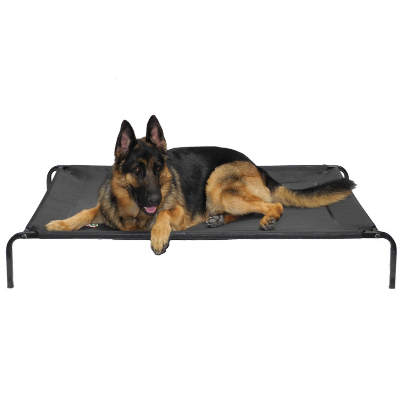 Go pet club solid memory foam orthopedic pet bed with waterproof cover best sale